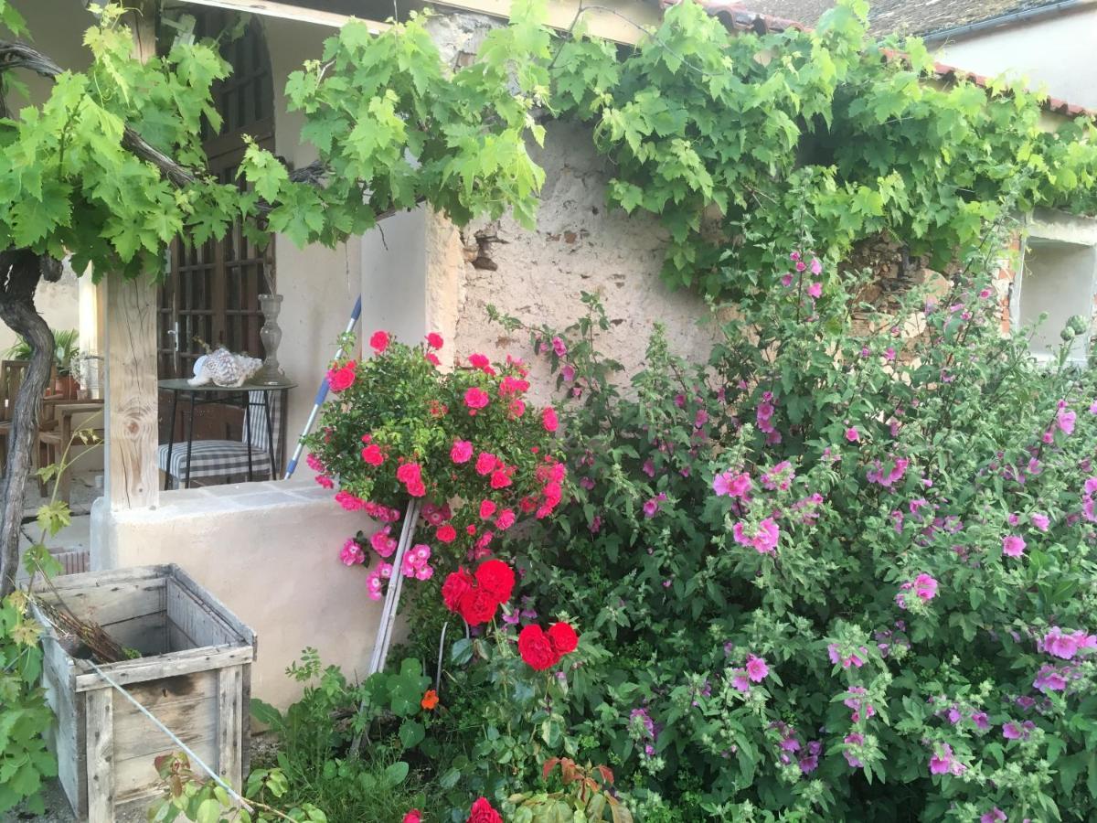 Bed and Breakfast Chez Alice Mirandol-Bourgnounac Zewnętrze zdjęcie