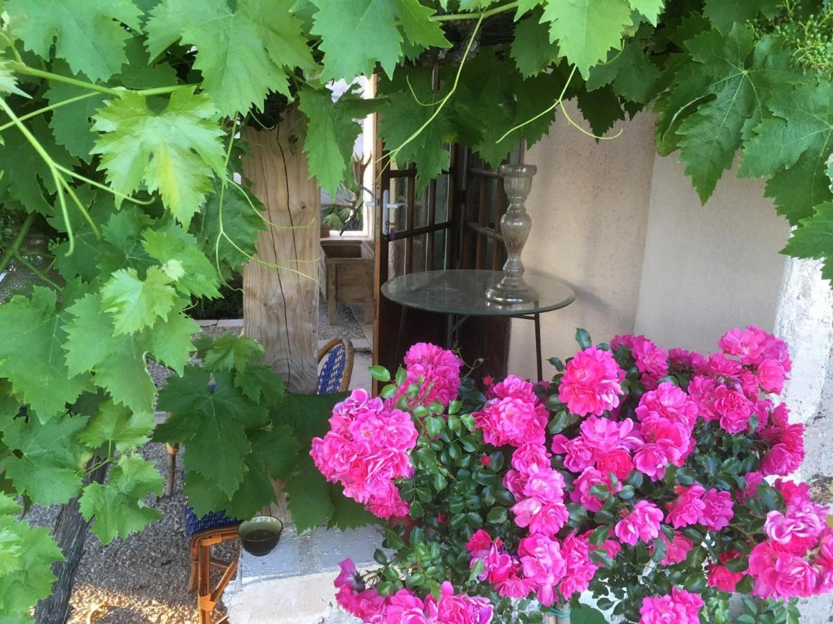 Bed and Breakfast Chez Alice Mirandol-Bourgnounac Zewnętrze zdjęcie